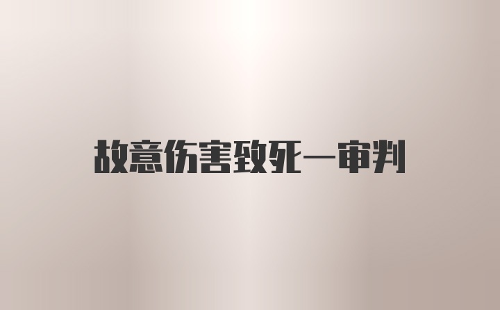 故意伤害致死一审判