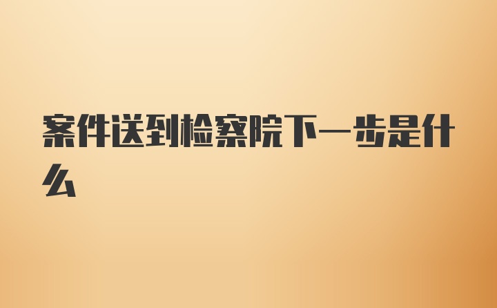 案件送到检察院下一步是什么