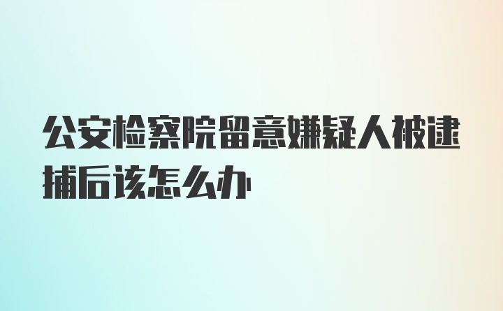 公安检察院留意嫌疑人被逮捕后该怎么办