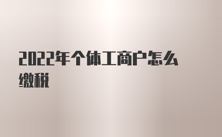 2022年个体工商户怎么缴税