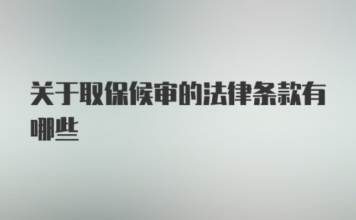 关于取保候审的法律条款有哪些