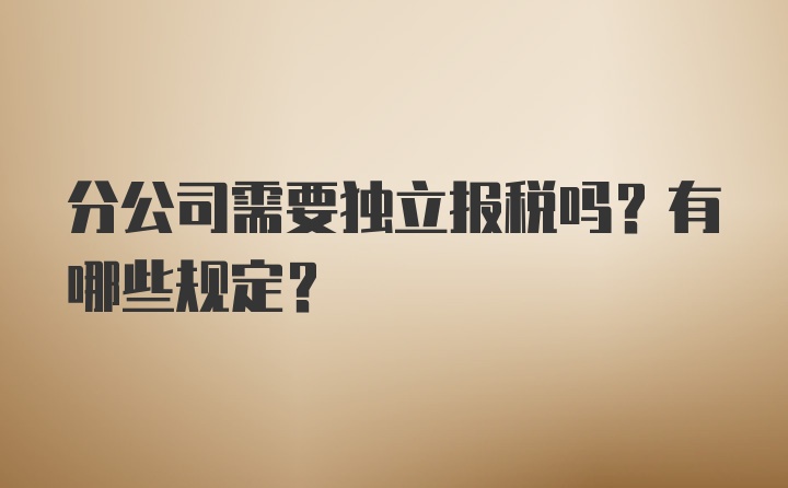 分公司需要独立报税吗？有哪些规定？