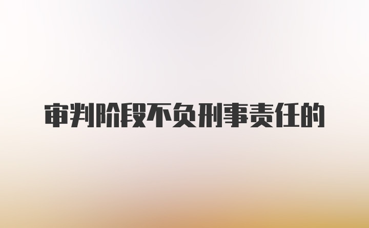 审判阶段不负刑事责任的