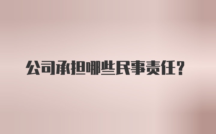 公司承担哪些民事责任？