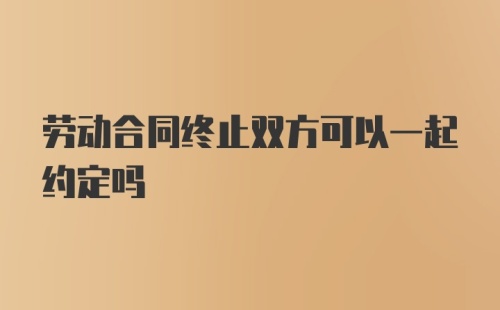 劳动合同终止双方可以一起约定吗