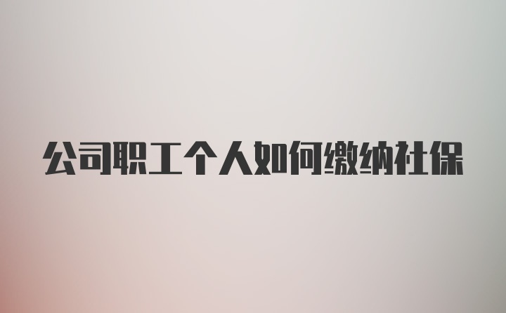 公司职工个人如何缴纳社保