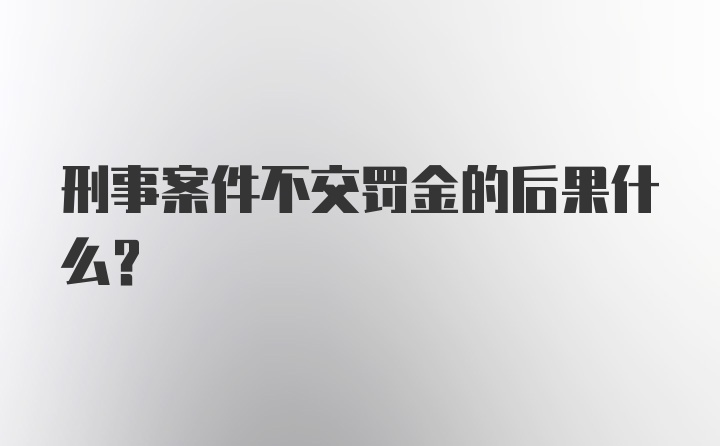 刑事案件不交罚金的后果什么？