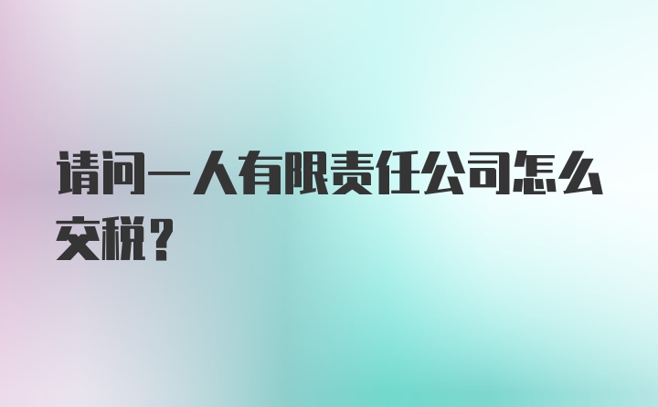 请问一人有限责任公司怎么交税？