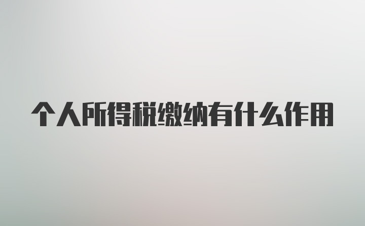 个人所得税缴纳有什么作用