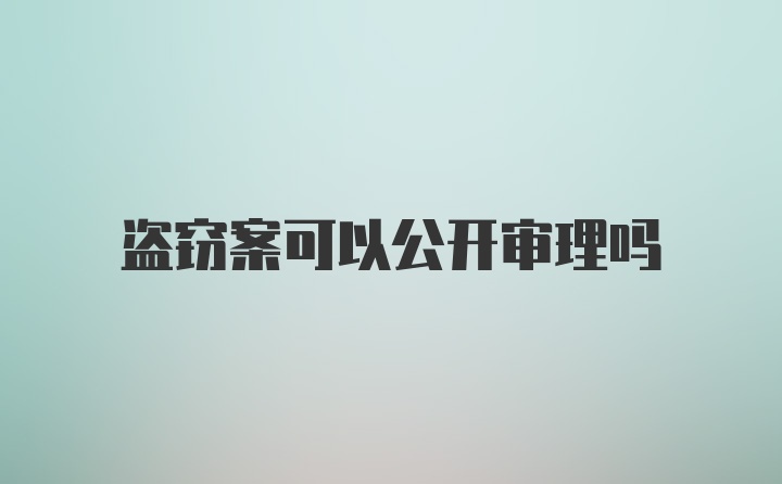 盗窃案可以公开审理吗