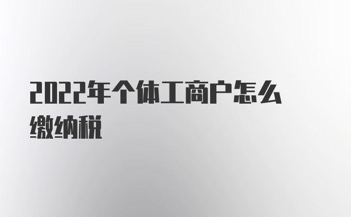 2022年个体工商户怎么缴纳税