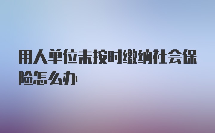 用人单位未按时缴纳社会保险怎么办