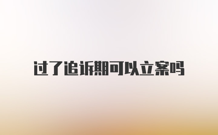 过了追诉期可以立案吗