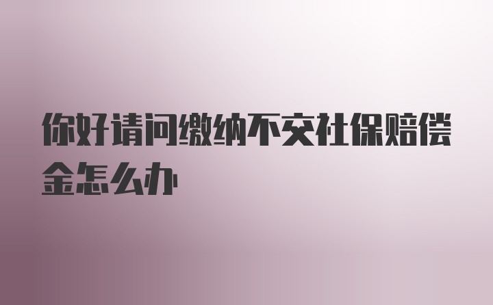 你好请问缴纳不交社保赔偿金怎么办