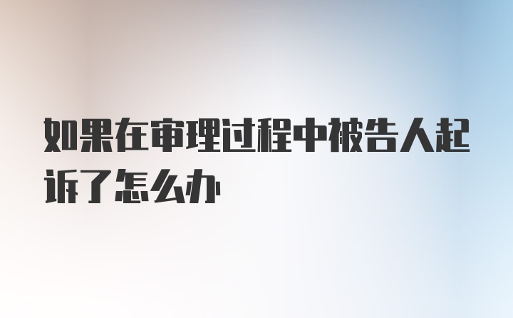 如果在审理过程中被告人起诉了怎么办