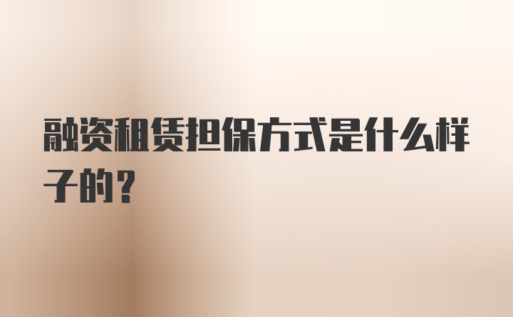 融资租赁担保方式是什么样子的？