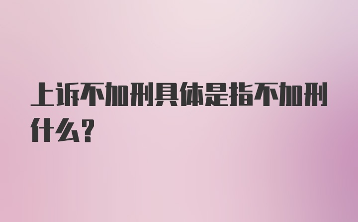 上诉不加刑具体是指不加刑什么？