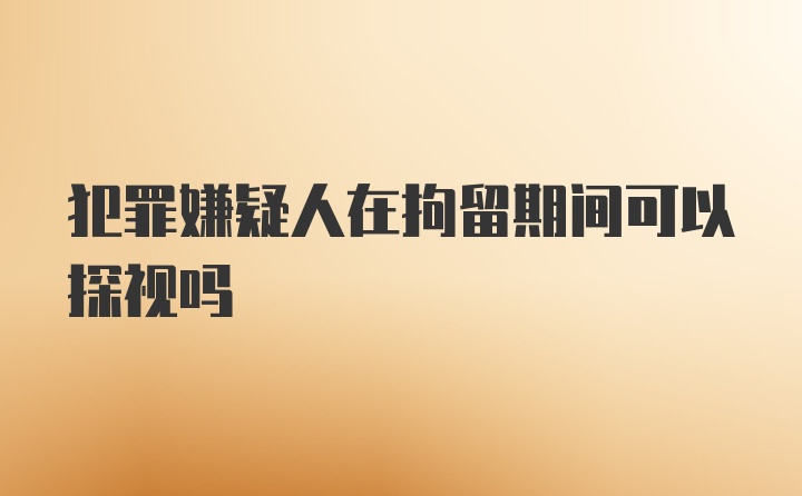 犯罪嫌疑人在拘留期间可以探视吗