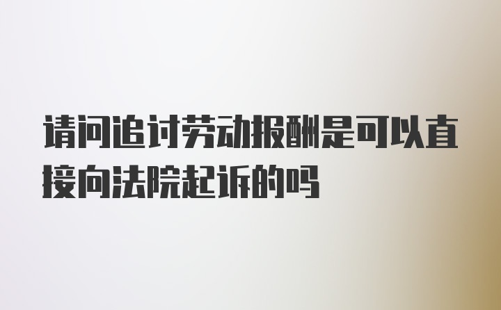 请问追讨劳动报酬是可以直接向法院起诉的吗