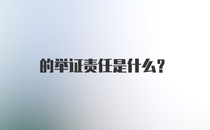 的举证责任是什么？