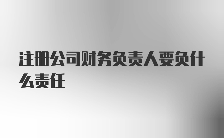 注册公司财务负责人要负什么责任