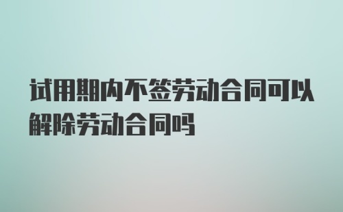 试用期内不签劳动合同可以解除劳动合同吗