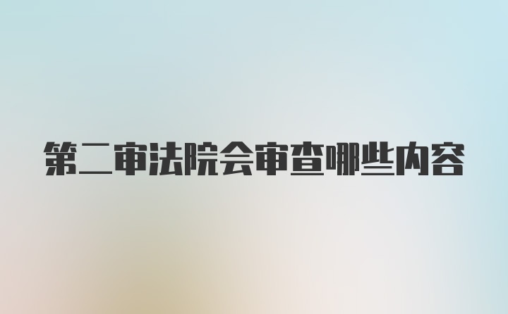 第二审法院会审查哪些内容