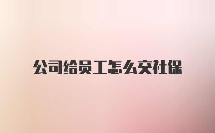 公司给员工怎么交社保