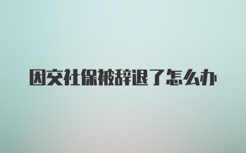 因交社保被辞退了怎么办