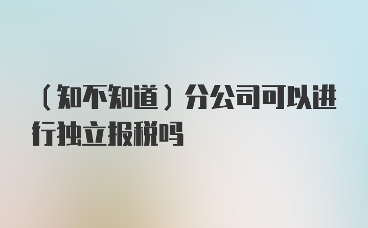 （知不知道）分公司可以进行独立报税吗