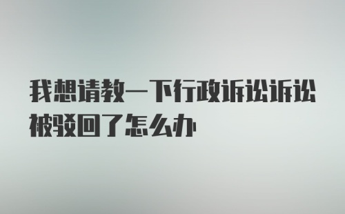 我想请教一下行政诉讼诉讼被驳回了怎么办