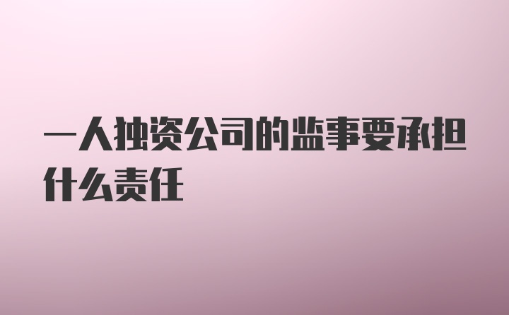 一人独资公司的监事要承担什么责任