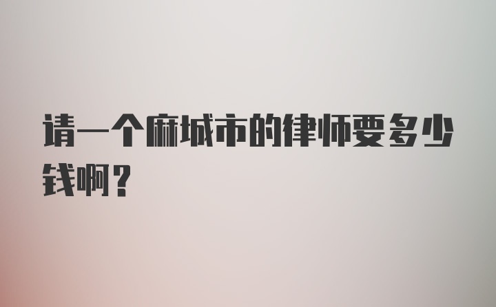 请一个麻城市的律师要多少钱啊？