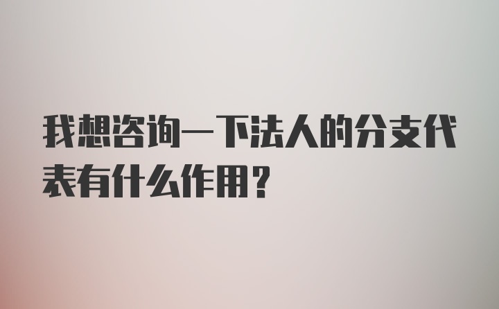 我想咨询一下法人的分支代表有什么作用?