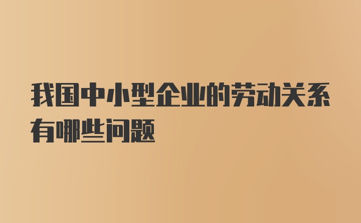 我国中小型企业的劳动关系有哪些问题