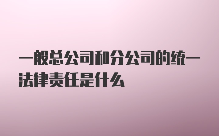 一般总公司和分公司的统一法律责任是什么