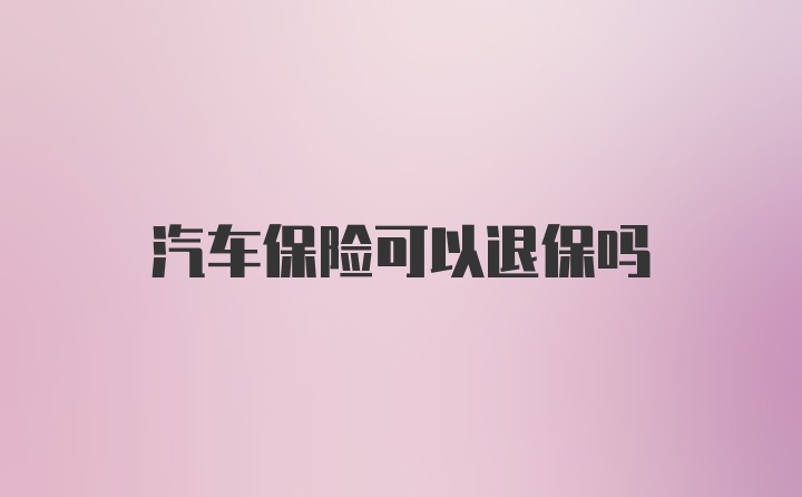 汽车保险可以退保吗