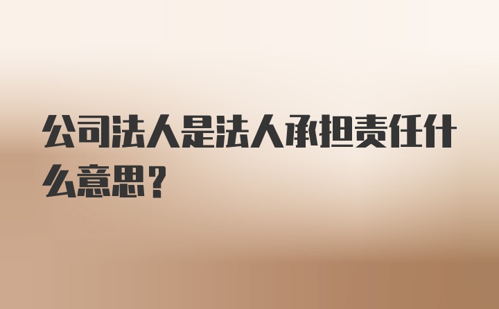 公司法人是法人承担责任什么意思？