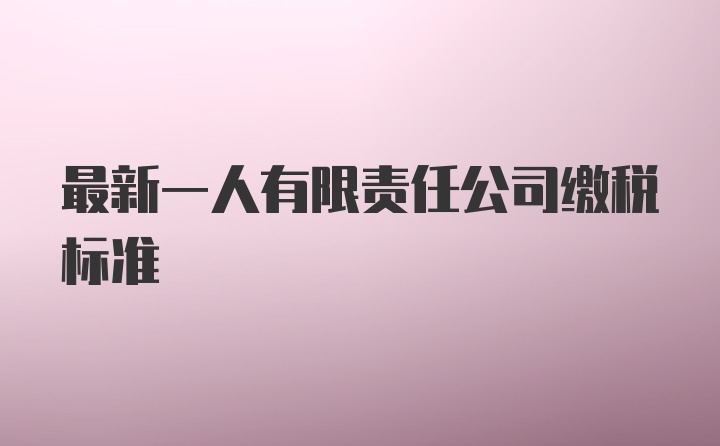 最新一人有限责任公司缴税标准