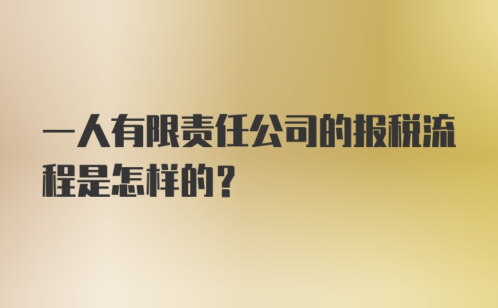 一人有限责任公司的报税流程是怎样的?