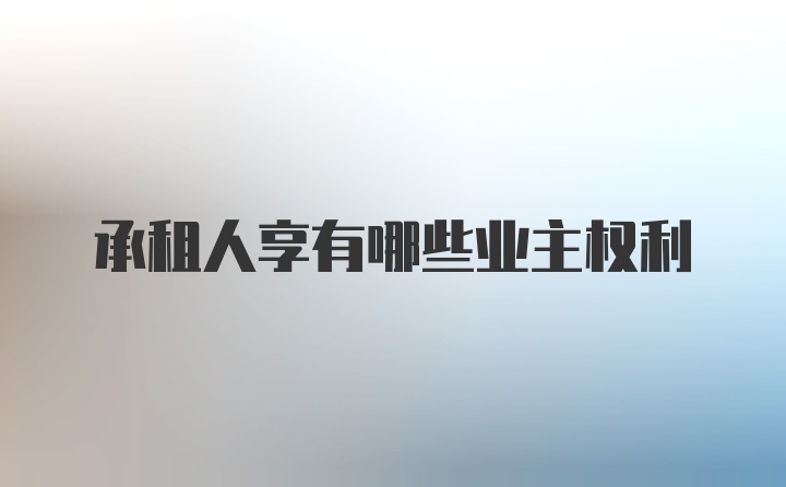 承租人享有哪些业主权利