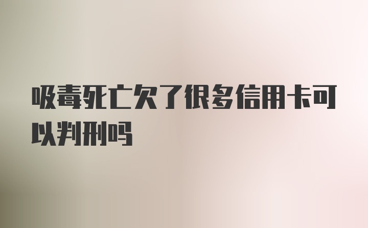 吸毒死亡欠了很多信用卡可以判刑吗