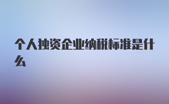 个人独资企业纳税标准是什么