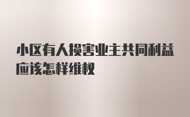 小区有人损害业主共同利益应该怎样维权