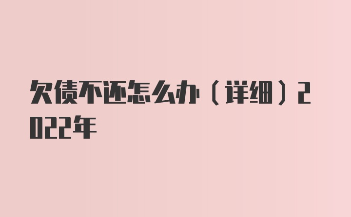 欠债不还怎么办（详细）2022年