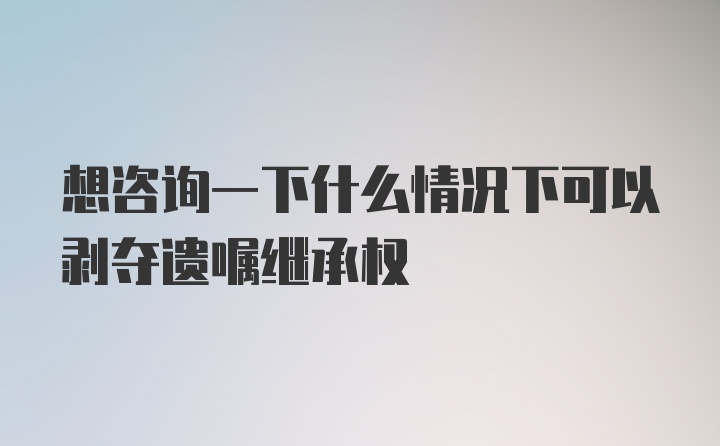 想咨询一下什么情况下可以剥夺遗嘱继承权