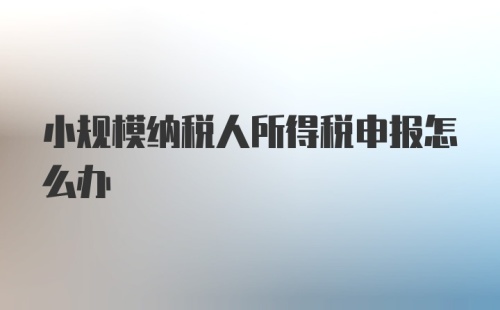 小规模纳税人所得税申报怎么办