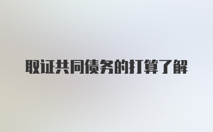 取证共同债务的打算了解