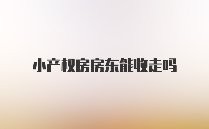 小产权房房东能收走吗