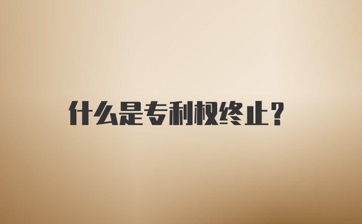 什么是专利权终止?